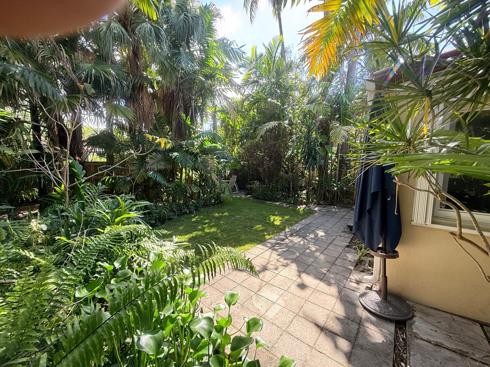 Backyard path and planting beds in the garden